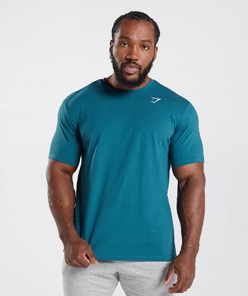 Gymshark Crest T Shirts Herr Blå | SE 3765OKI